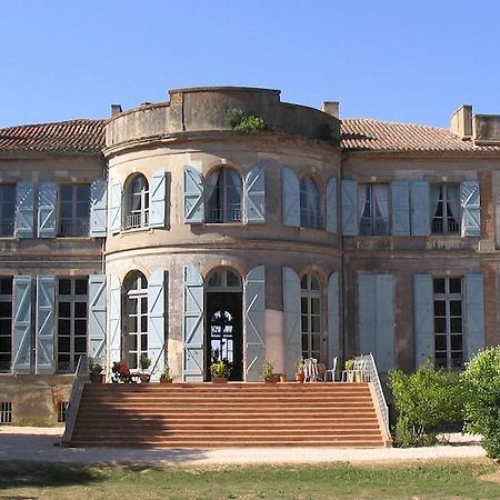 Chateau De Clermont-Saves Bed & Breakfast LʼIsle-Jourdain Eksteriør bilde