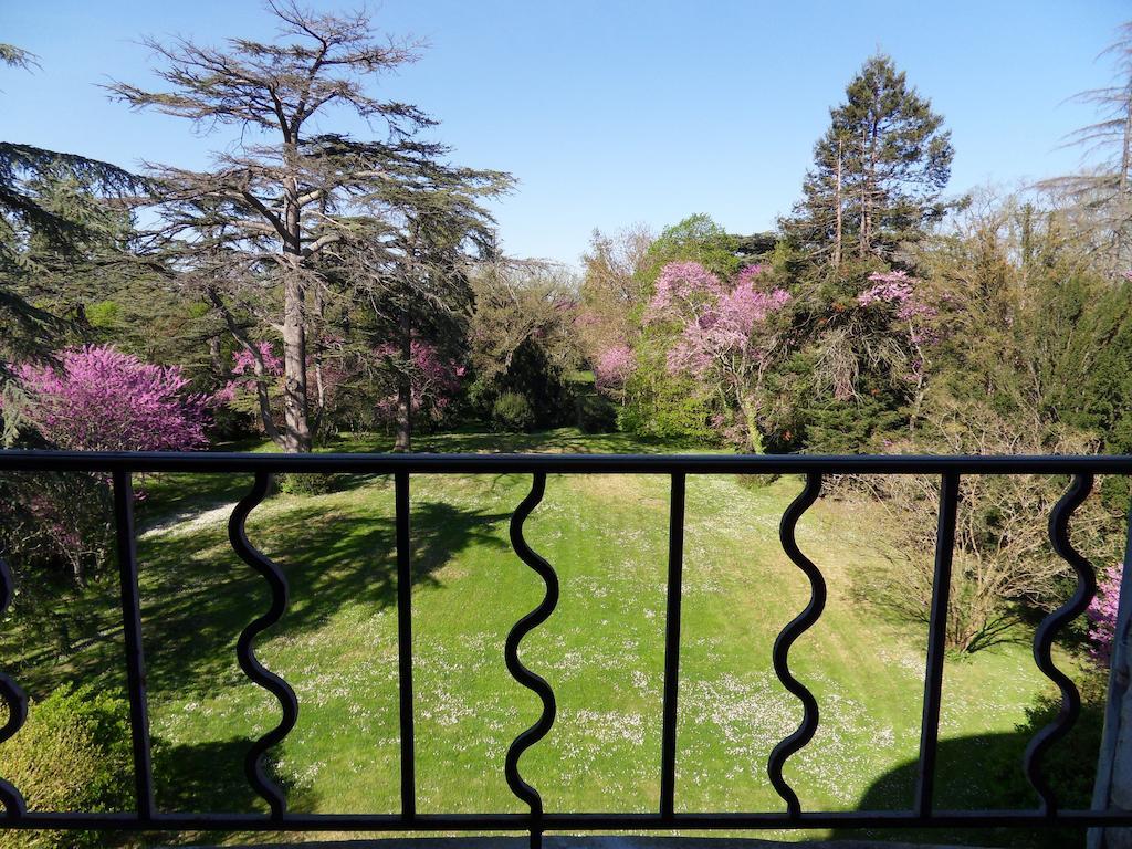 Chateau De Clermont-Saves Bed & Breakfast LʼIsle-Jourdain Rom bilde